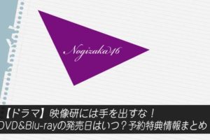 乃木坂46 ライブ座席の種類は 指定 女性エリア 見切れ席など詳しく説明します